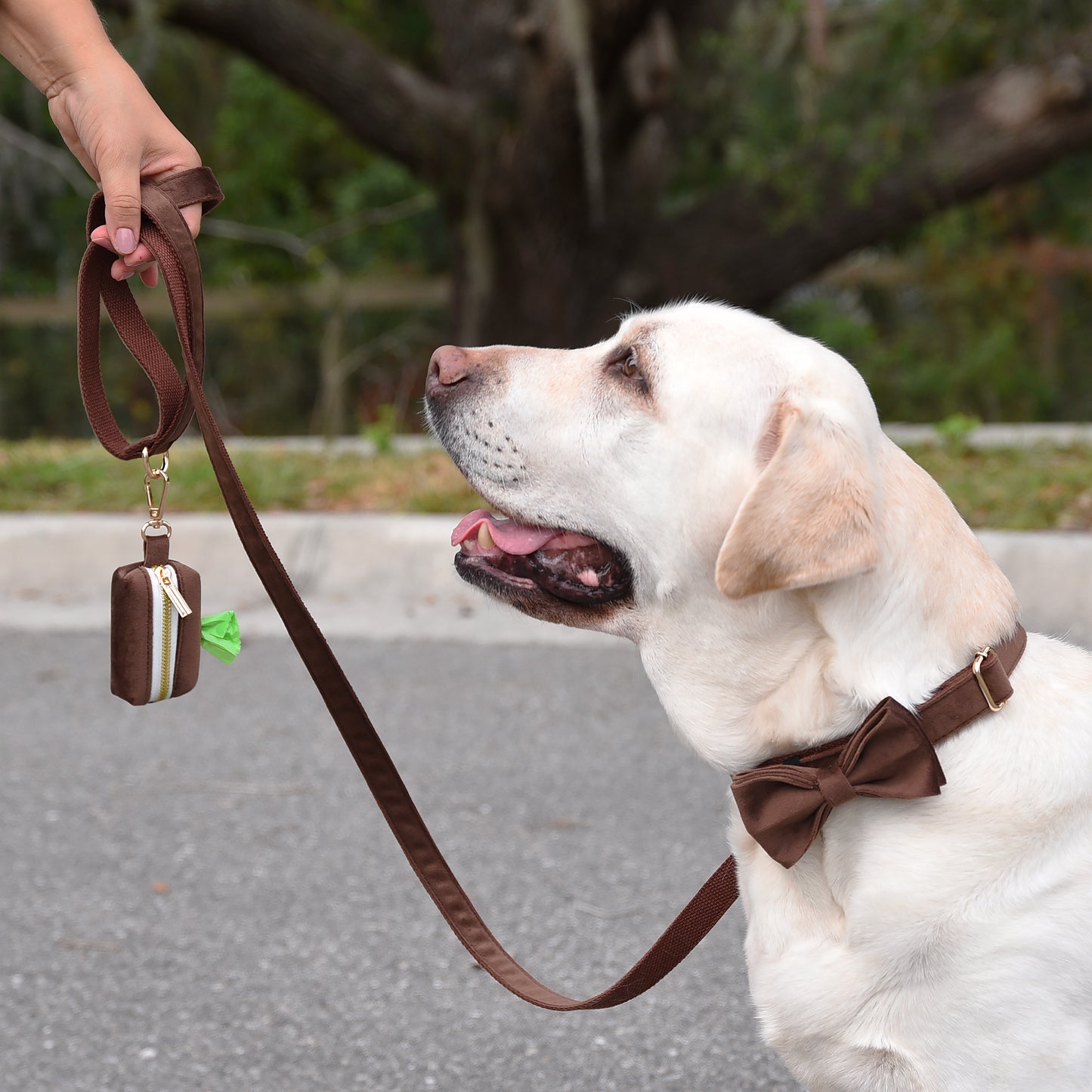 Personalized Dog Collar, Multiple Colors Velvet, Leash Set with Bow,Brown,Grey,White,Engraved Pet Name Plate Metal Buckle,Wedding Puppy Gift